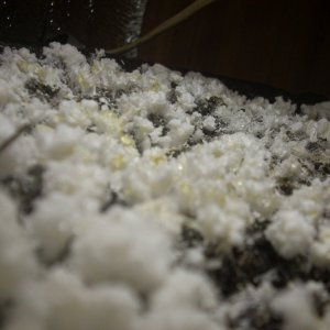 DSCN1444