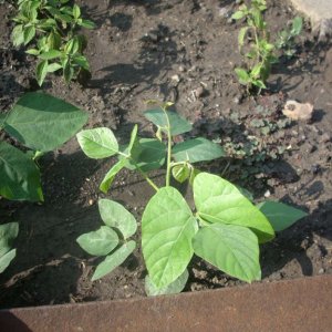DSCN1467