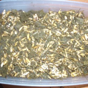 DSCN1484