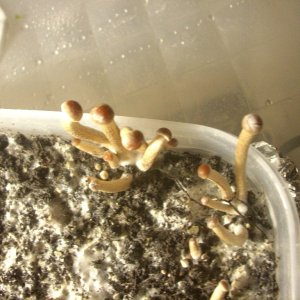 DSCN1494