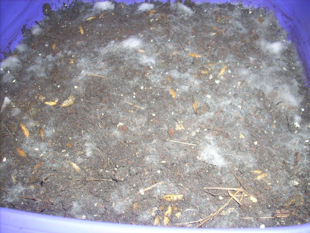 DSCN1537