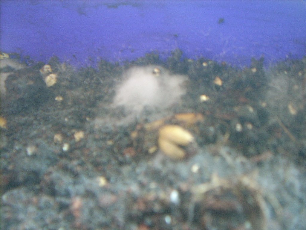 DSCN1538